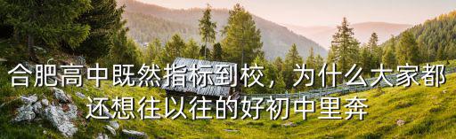 合肥50中新區指標到校多少名,合肥高中既然指標到校