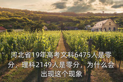 河北省高考2019年有多少人,2019年高考