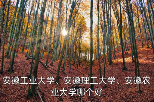 安徽多少分能上安工大,安徽理工大學