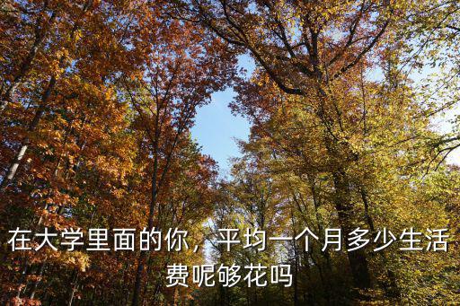 在大學里面的你，平均一個月多少生活費呢夠花嗎