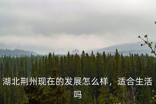 荊州橋南發(fā)展怎么樣,湖北荊州現在的發(fā)展怎么樣
