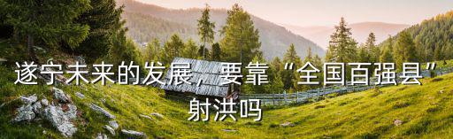 遂寧最大的油田在哪里,中國將來最大的油田在哪里