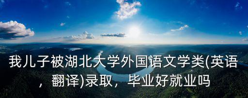 我兒子被湖北大學外國語文學類(英語，翻譯)錄取，畢業好就業嗎