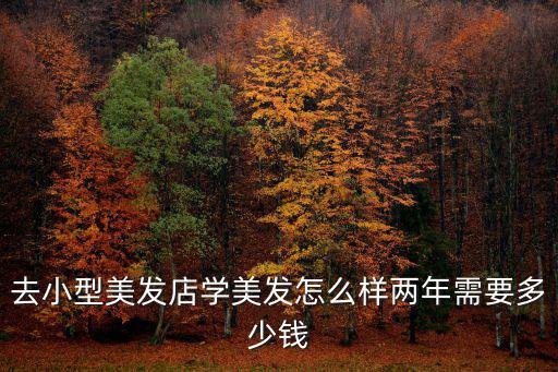 蚌埠學美發要多少錢,兩年需要多少錢
