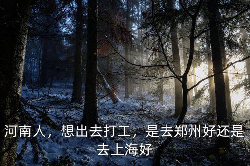 河南人，想出去打工，是去鄭州好還是去上海好