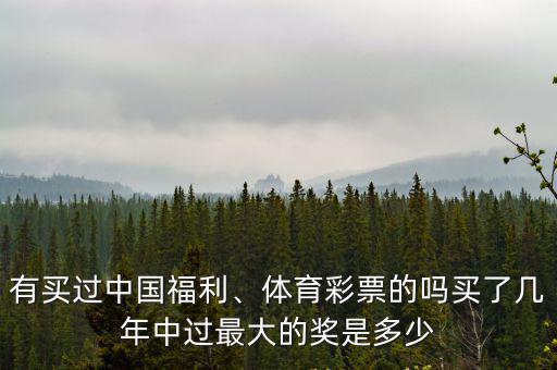 有買過中國福利、體育彩票的嗎買了幾年中過最大的獎是多少