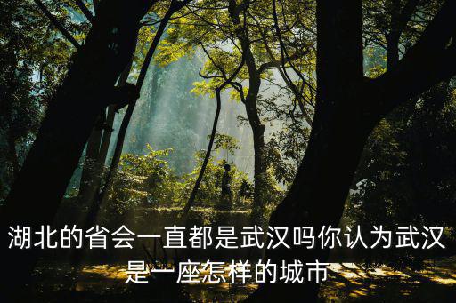 湖北的省會一直都是武漢嗎你認為武漢是一座怎樣的城市