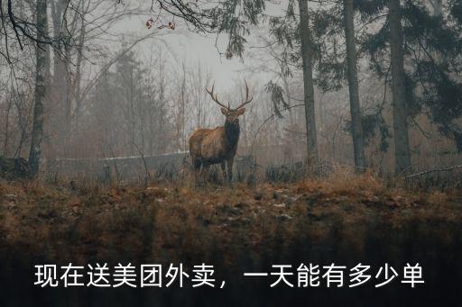 美團外賣蕪湖縣送一單多少錢,送外賣大概多少錢一單
