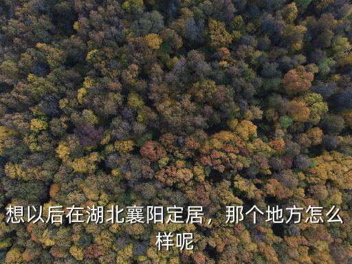 想以后在湖北襄陽定居，那個地方怎么樣呢