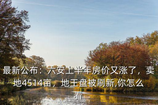 最新公布：六安上半年房價又漲了，賣地4514畝，地王盤被刷新,你怎么看