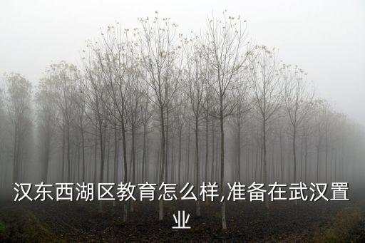 在武漢東西湖區(qū)教育怎么樣,準備在武漢置業(yè)