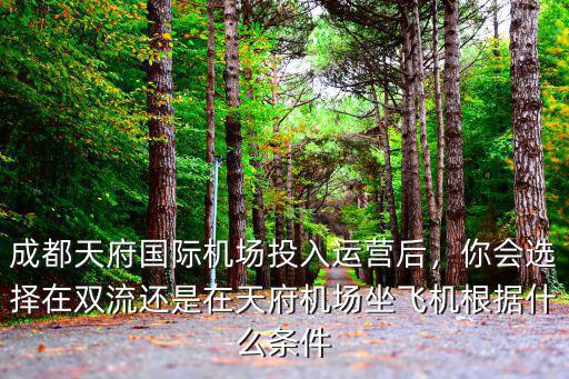 成都天府機場在哪里,成都天府國際機場投入運營后