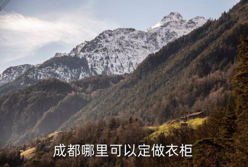 成都在哪里可以定制志邦,成都哪里可以定做衣柜