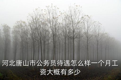 河北省街道辦事處工資有多少錢,一個月工資大概有多少