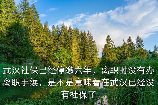 武漢社保離職沒處理怎么辦,武漢社保已經停繳六年