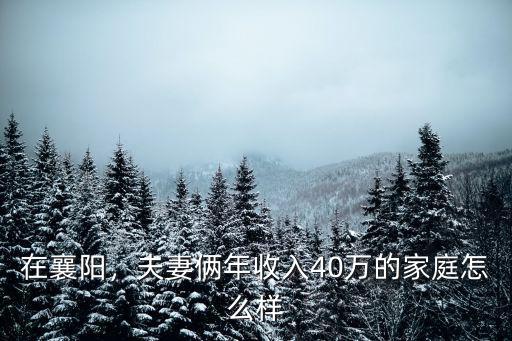 在襄陽年收入40萬怎么樣,襄陽年收入40萬