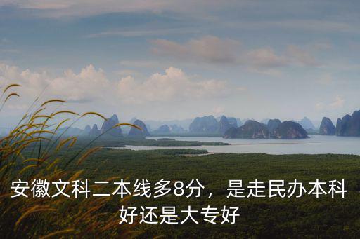 安徽文科二本線多8分，是走民辦本科好還是大專好