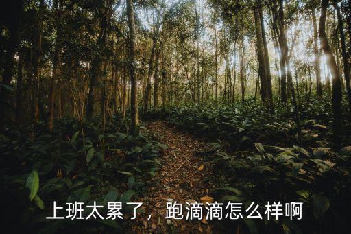 荊門跑滴滴怎么樣,現在跑滴滴怎么樣