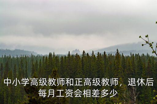 阜陽小學高級教師退休工資多少,中小學高級教師和正高級教師