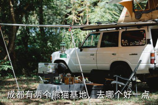 成都有兩個熊貓基地，去哪個好一點