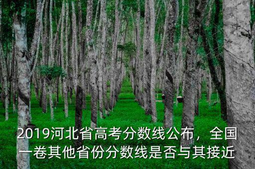 2019河北省高考分數線公布，全國一卷其他省份分數線是否與其接近