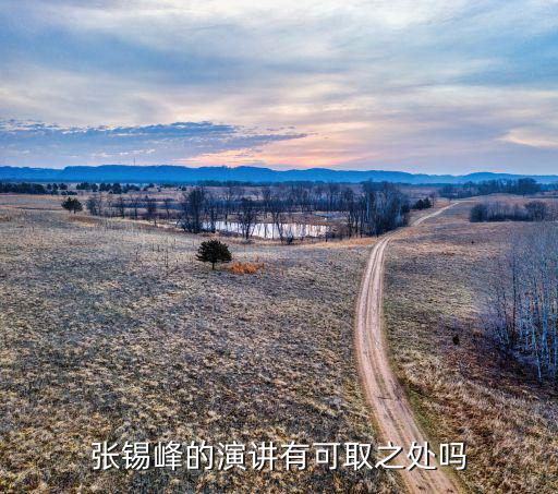 衡水演講的張錫峰考了多少分,衡水中學(xué)的張錫峰火了