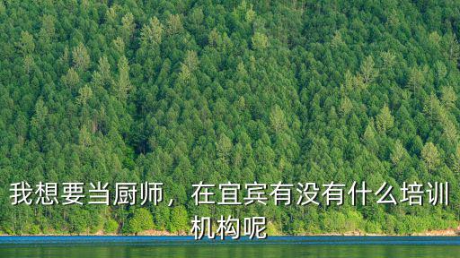 宜賓哪里有廚師培訓班,現在哪里有短期廚師培訓班