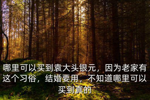 鄭州去哪里鑒定袁大頭,如何鑒定真假袁大頭