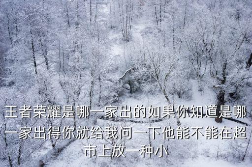 王者榮耀是哪一家出的如果你知道是哪一家出得你就給我問一下他能不能在超市上放一種小