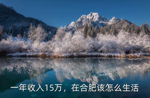 合肥一年工資加多少,一年工資加公積金20W