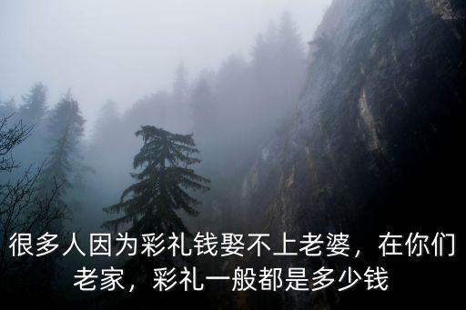 很多人因為彩禮錢娶不上老婆，在你們老家，彩禮一般都是多少錢