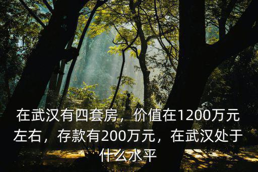 武漢怎么買四套房,在武漢有四套房