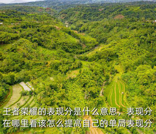 王者榮耀的表現(xiàn)分是什么意思，表現(xiàn)分在哪里看該怎么提高自己的單局表現(xiàn)分