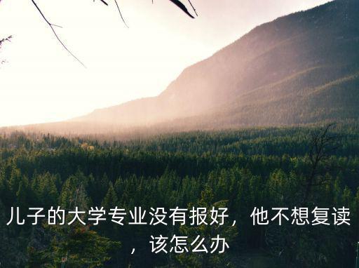 兒子的大學(xué)專業(yè)沒有報好，他不想復(fù)讀，該怎么辦