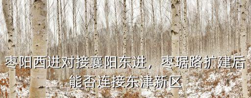 襄陽市怎么不和棗陽融城,棗陽西進對接襄陽東進