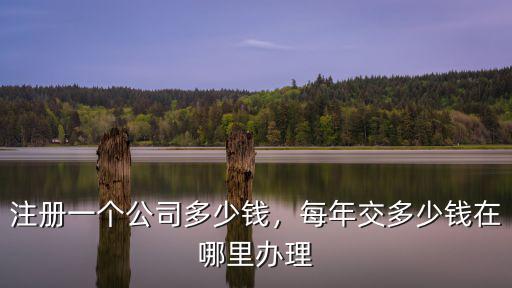 樂山市公司注冊在哪里辦理,公司注冊怎么辦理銀行開戶