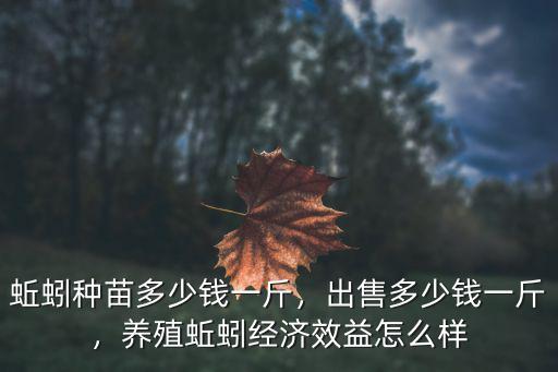 安徽蚯蚓養多少錢一斤,蚯蚓種苗多少錢一斤