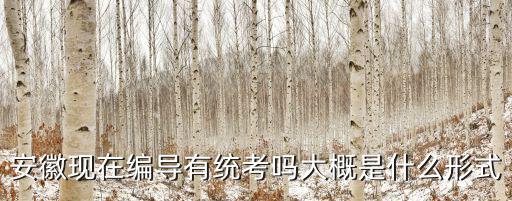 安徽現在編導有統考嗎大概是什么形式