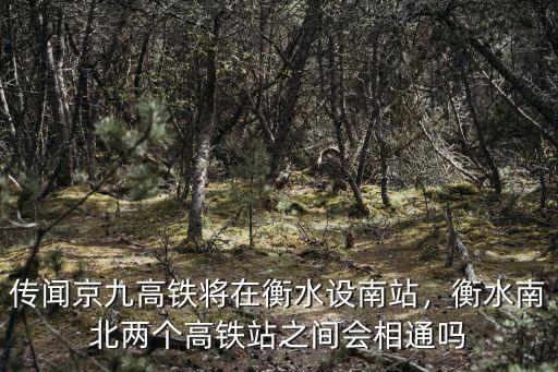 傳聞京九高鐵將在衡水設(shè)南站，衡水南北兩個高鐵站之間會相通嗎
