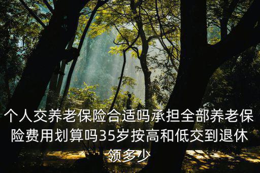 個(gè)人交養(yǎng)老保險(xiǎn)合適嗎承擔(dān)全部養(yǎng)老保險(xiǎn)費(fèi)用劃算嗎35歲按高和低交到退休領(lǐng)多少