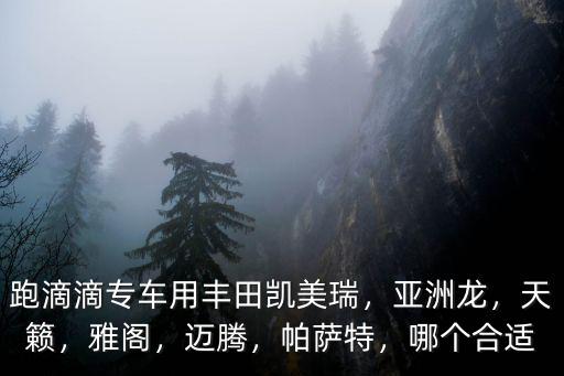 跑滴滴專車用豐田凱美瑞，亞洲龍，天籟，雅閣，邁騰，帕薩特，哪個合適