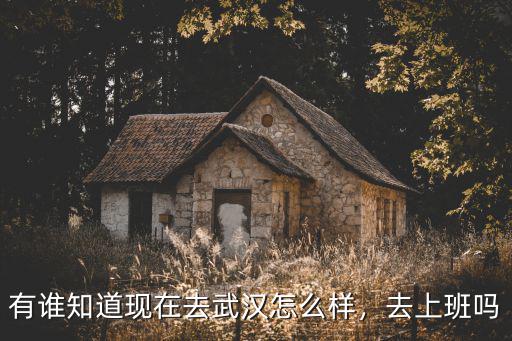 有誰知道現(xiàn)在去武漢怎么樣，去上班嗎