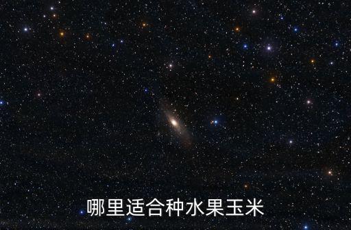 樂山水果玉米在哪里,哪里適合種水果玉米