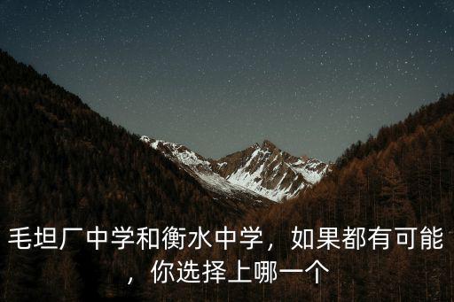 毛坦廠中學和衡水中學，如果都有可能，你選擇上哪一個
