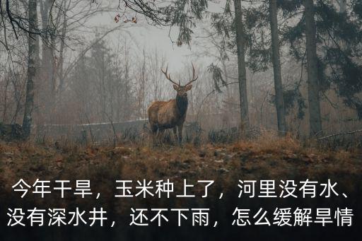 鄭州雨水旱情怎么解決,怎么緩解旱情