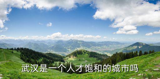 武漢是一個怎么樣的城市,武漢是一個人才飽和的城市嗎