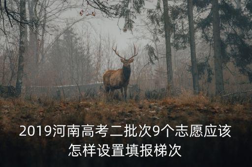 2019河南高考二批次9個志愿應該怎樣設置填報梯次