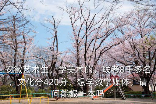 安徽藝術生，學美術的，聯考8千多名，文化分420分，想學數字媒體，請問能報一本嗎