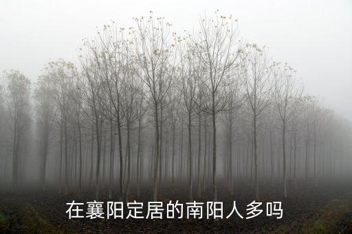 在襄陽(yáng)定居的南陽(yáng)人多嗎