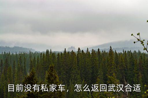 石家莊沒有私家車怎么回武漢,石家莊沒有私家車如何出行呢